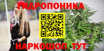 гидра Пенза