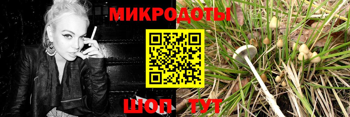 Псилоцибиновые грибы Cubensis  Галлюциногенные грибы Cubensis  Ставрополь  Вход с VPN 